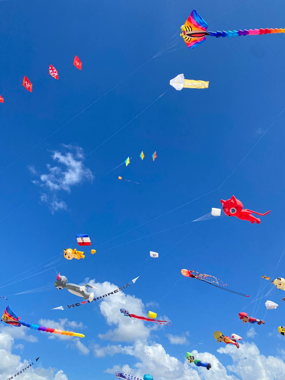 Internationales Kite Festival auf Bali – wenn der Himmel über Sanur bunt wird