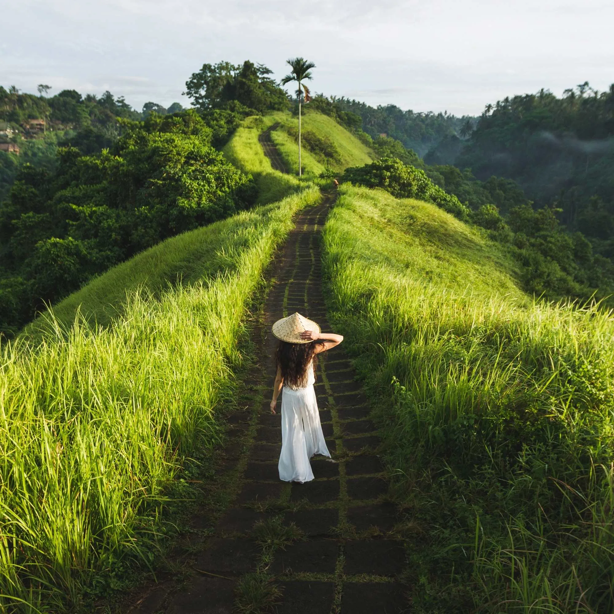 Campuhan Ridge Walk Ubud — Bali Reiseerlebnis